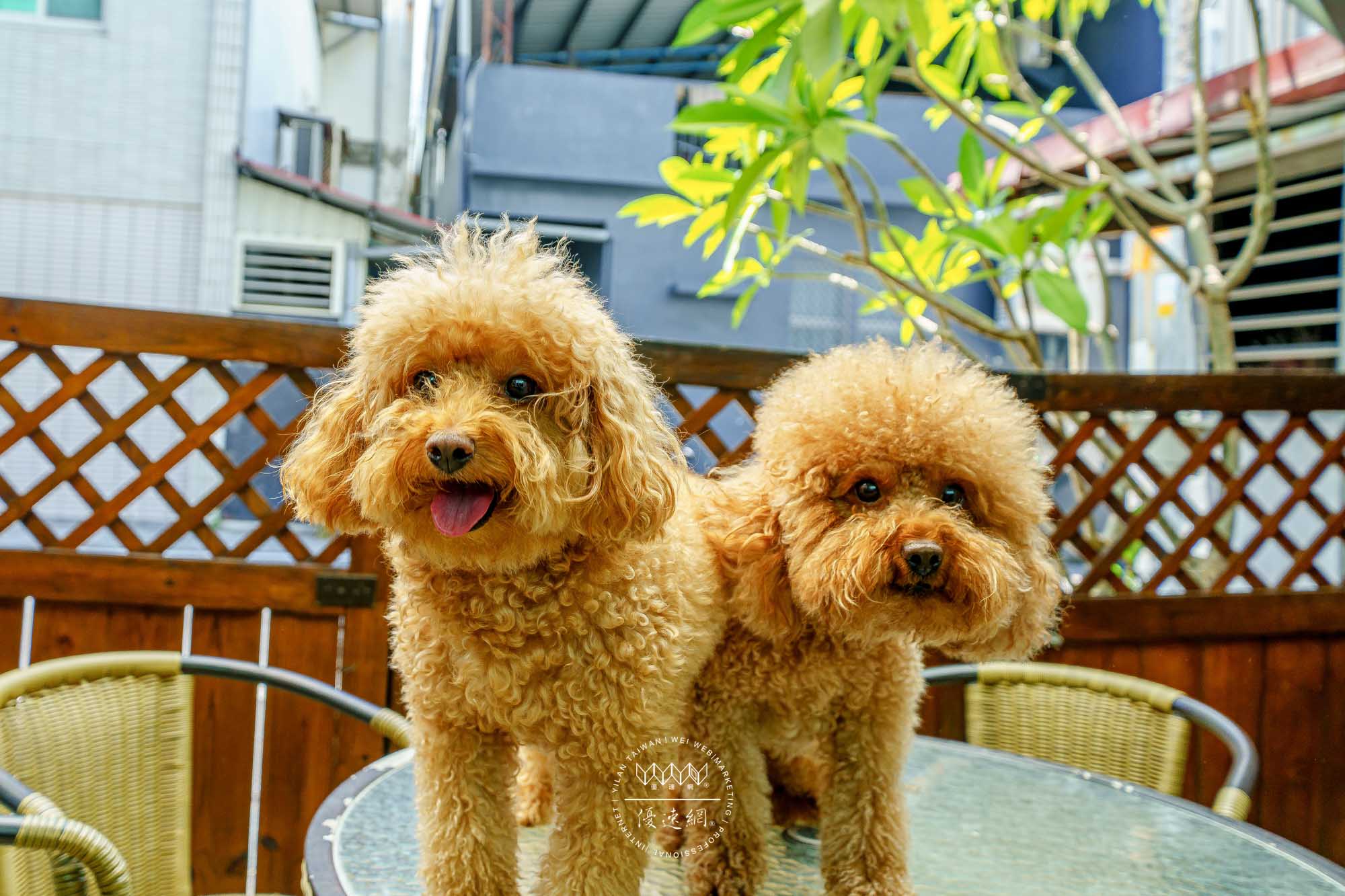 馨晴民宿的民宿照片